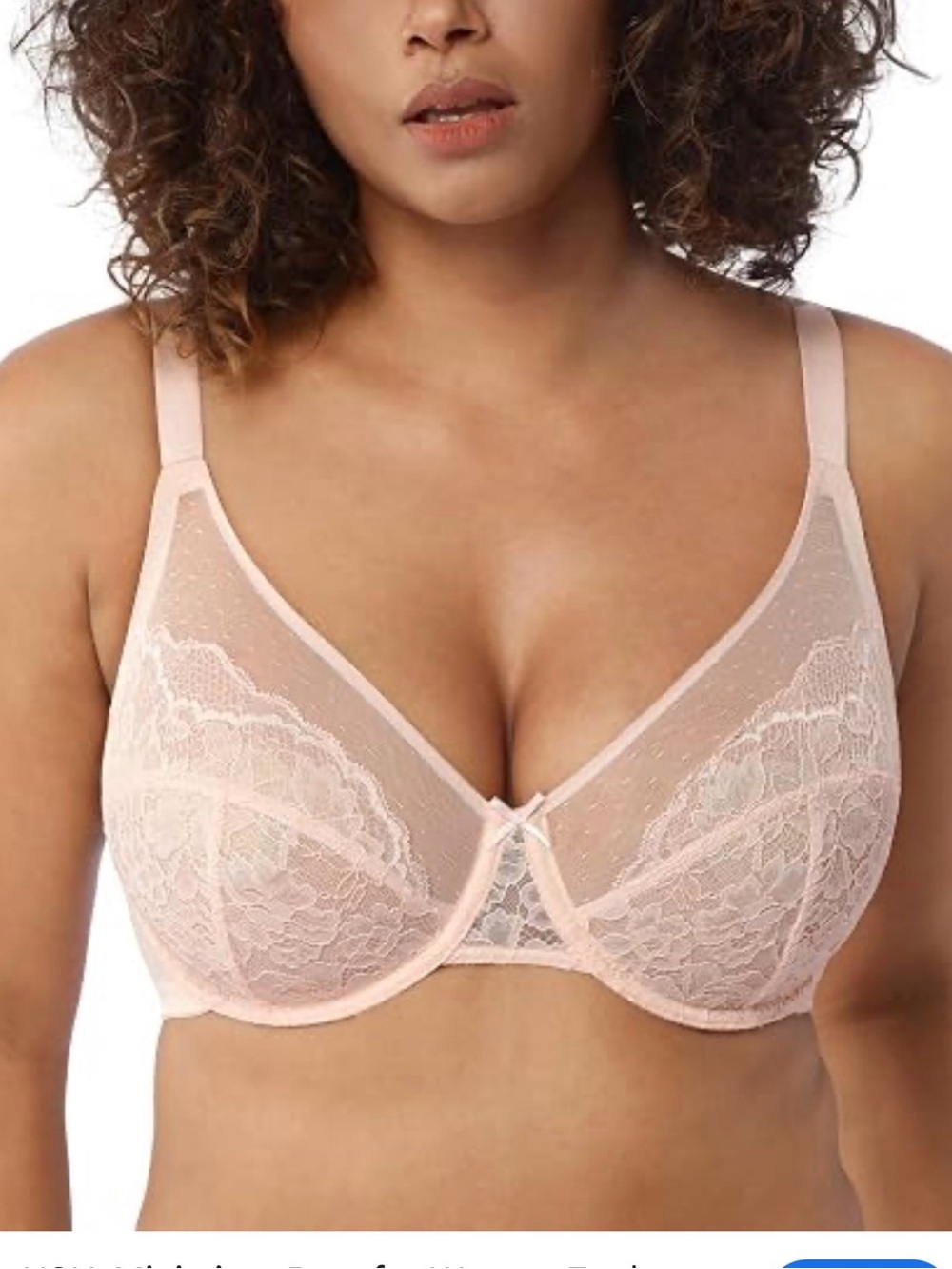 HSIA Sheer Cream Lace Bra Unlined Non-Padded Underwire Bra 42C